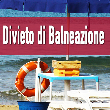 Ordinanza n. 8